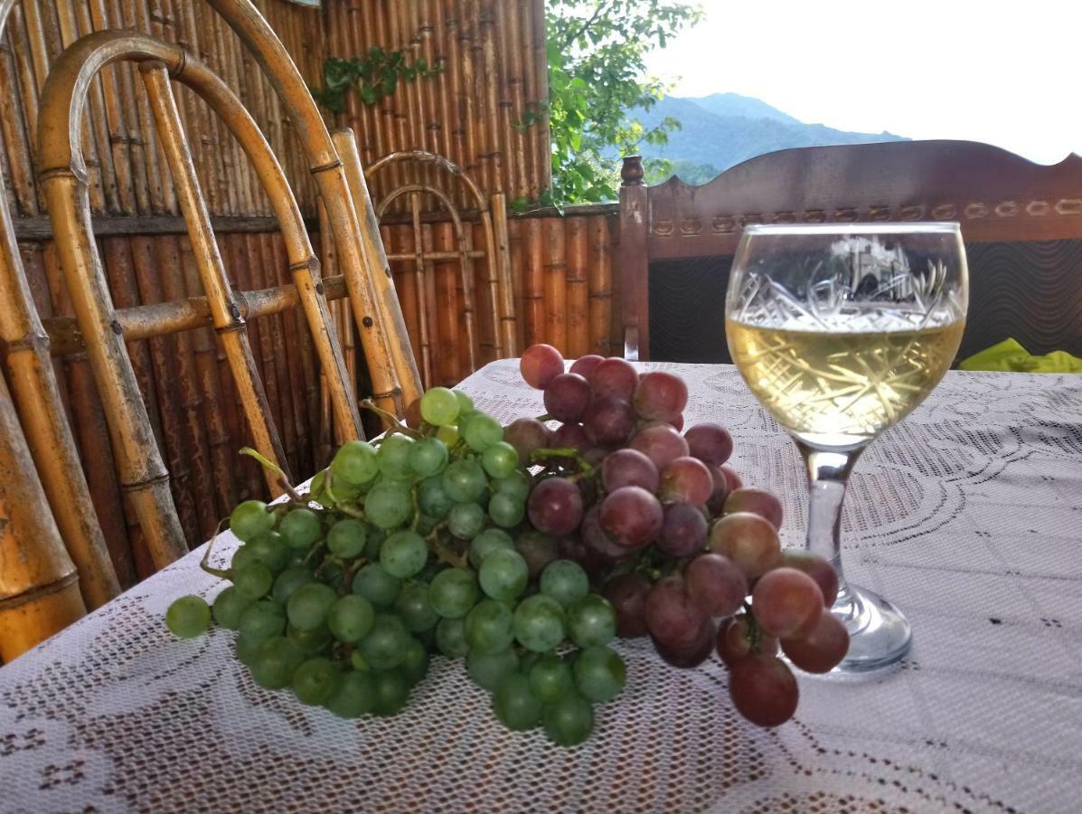 Guest House And Cellar Winery In Ortabatumi Batumi Georgia מראה חיצוני תמונה
