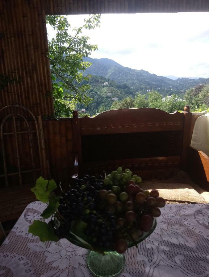 Guest House And Cellar Winery In Ortabatumi Batumi Georgia מראה חיצוני תמונה
